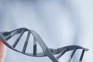 泰国BNH医院做三代试管，费用到底高不高？一文带你摸清收费底细！