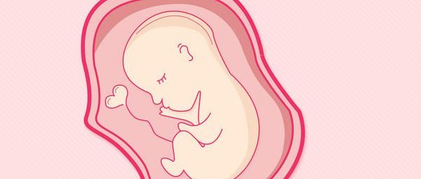 徐州市中心医院洗精费用多少钱？试管婴儿移植成功后检查流程有哪些？