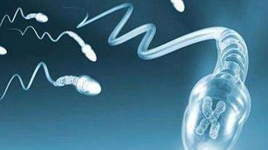 南昌第三代试管医院：试管婴儿预产期怎么计算更科学？