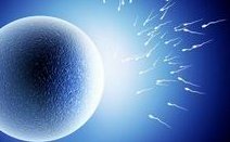 孕期做彩超和b超的区别大不大？哪个的检查结果更准确？