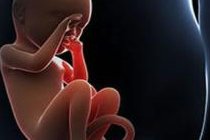 试管婴儿囊胚移植后当天乘坐6小时高铁回家可行吗？