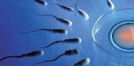 常德做第二代试管婴儿的费用和成功率分析