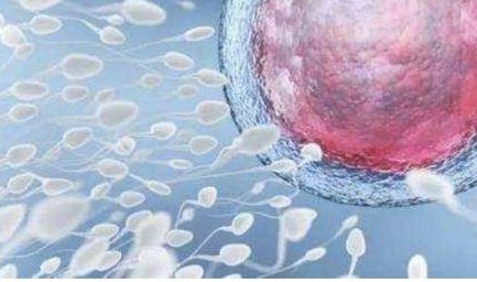 三代试管婴儿一般要多少钱？附三代试管婴儿费用明细供参考