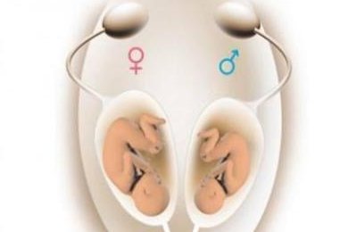 优势卵泡18mm了,子宫内膜就适合试管婴儿移植？