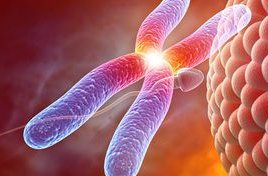 一代试管婴儿精子会经过筛查吗？精子卵子不结合怎么办？